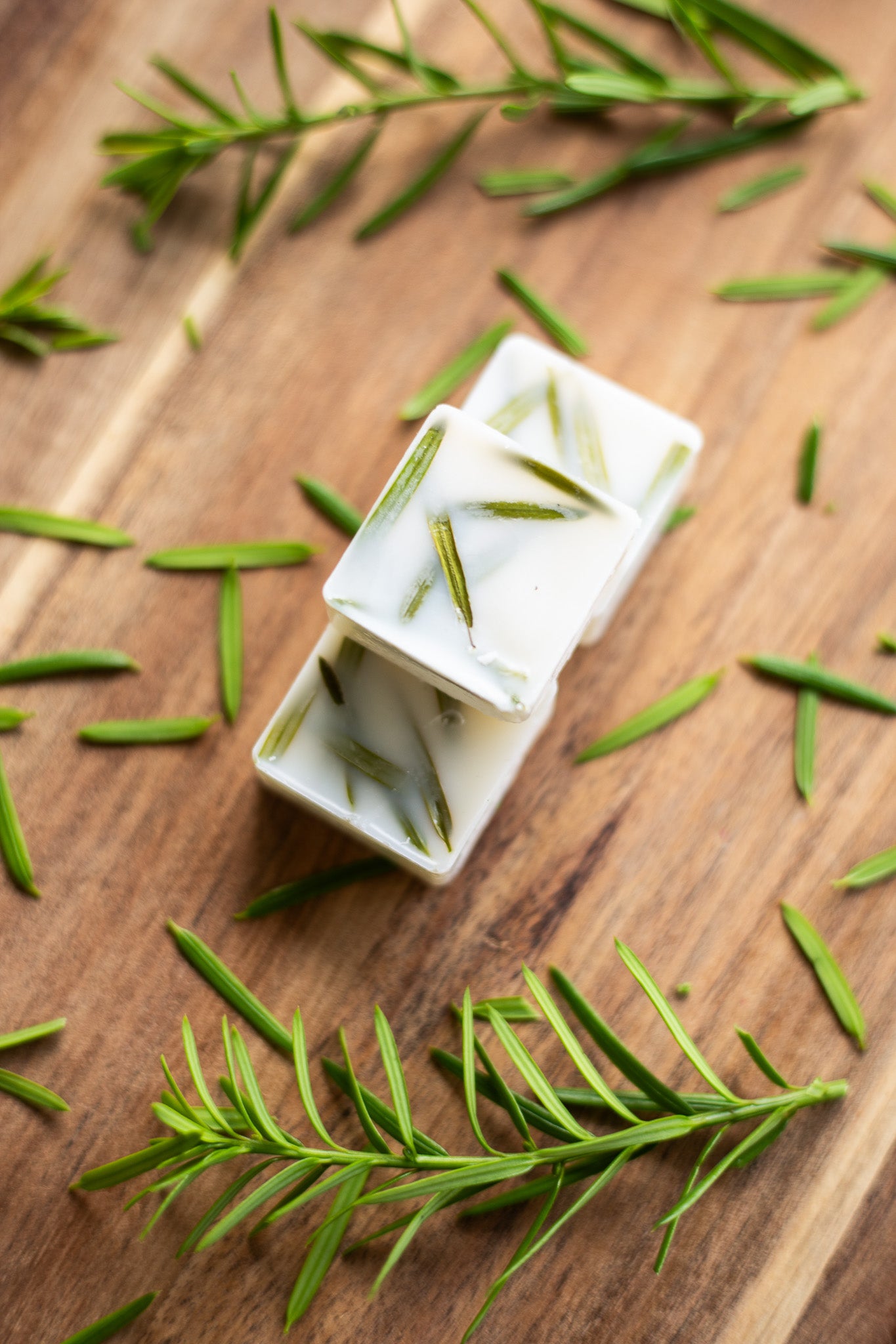 Woodland Pine Wax Melts