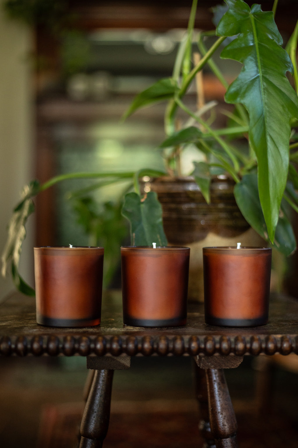 The Earthy Collection