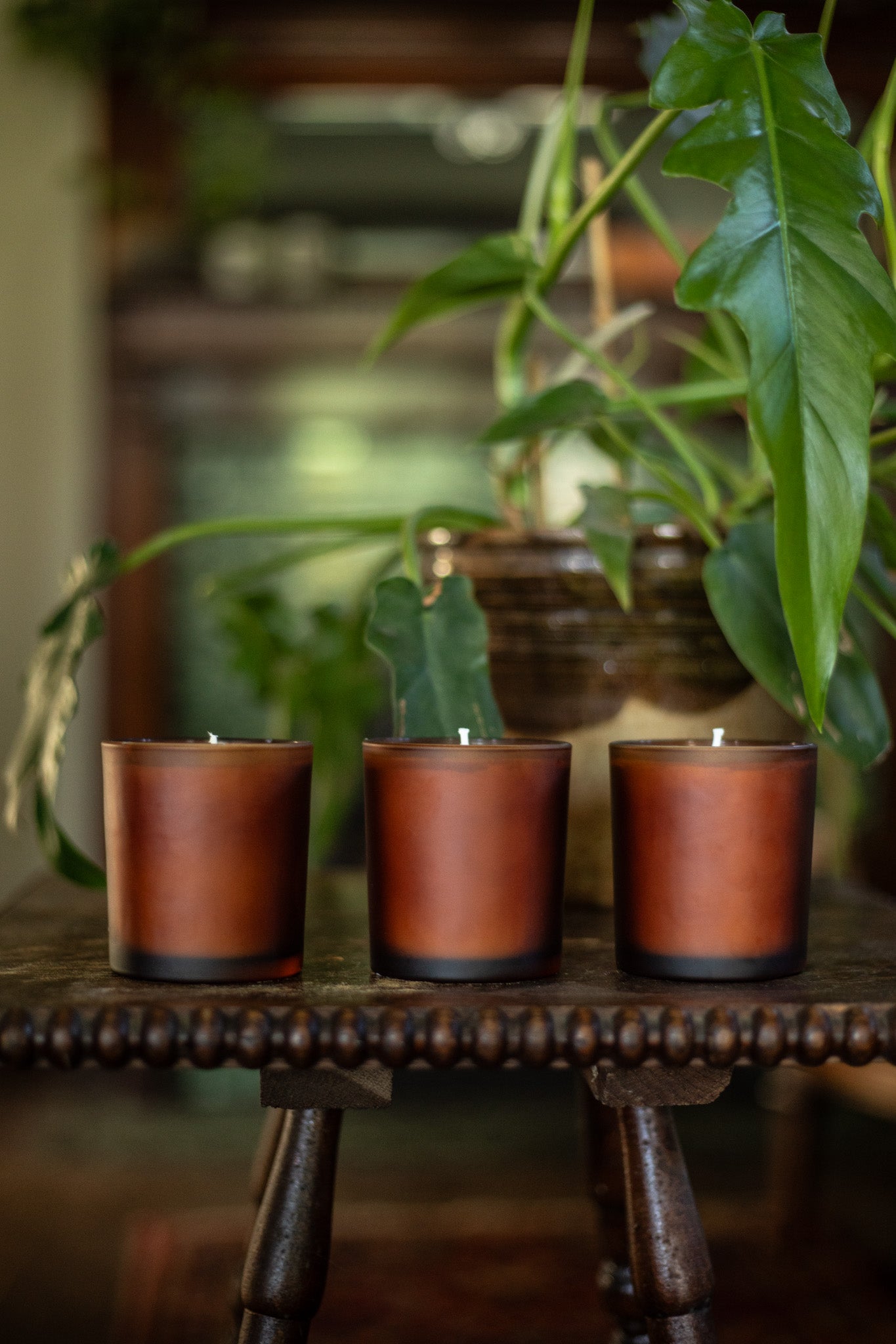 The Earthy Collection