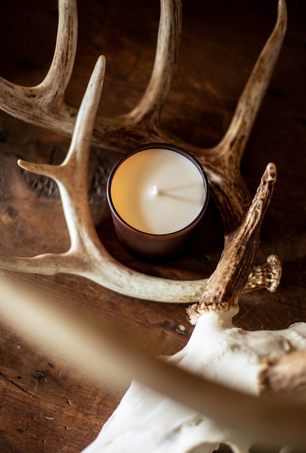 The Earthy Collection