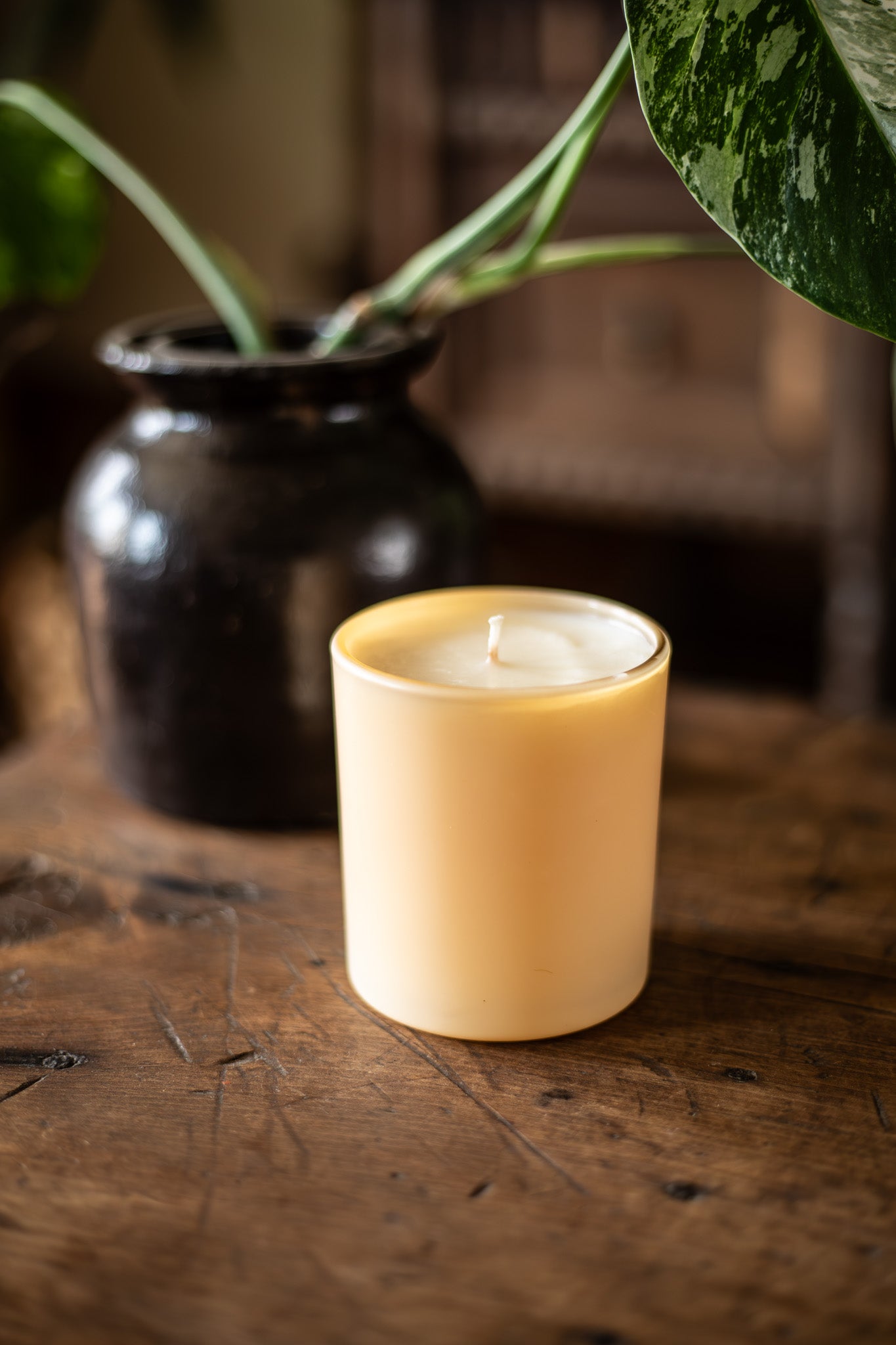Gardenia Peach